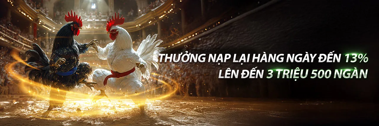 Tin tức 79kings mới nhất, cập nhật thông tin cá cược trực tuyến